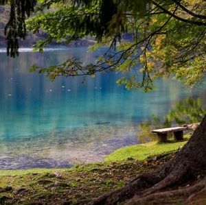 Meet your Posher, Baez